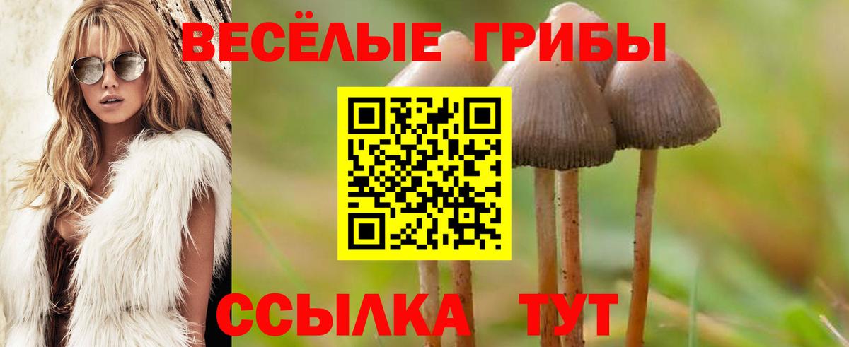Псилоцибиновые грибы Magic Shrooms Нерюнгри